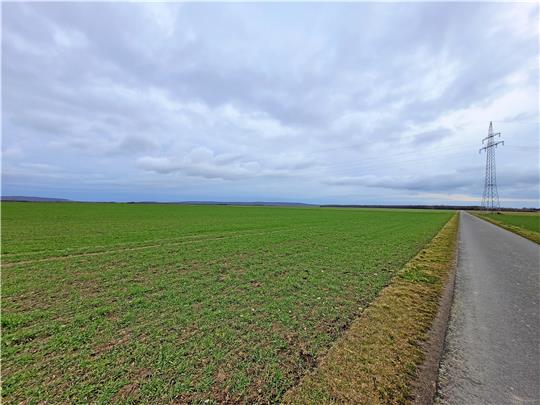 Auf Flächen zwischen Harlingerode und Vienenburg, nördlich der Bundesstraße 6, wollen Landeigentümer Windräder und PV-Module errichten lassen. Foto: Exner