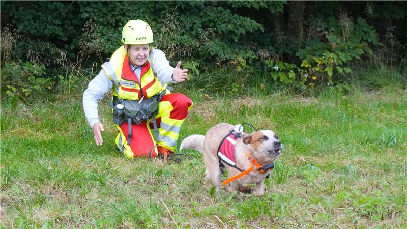 So trainieren Suchhunde im Harz für den Ernstfall Auf Kommando sprintet die Flächenhündin Ava in die gewünschte Richtung los und schnüffelt im Suchgebiet nach Menschen.