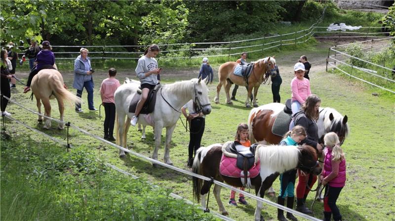 Weltkindertag auf dem Robinson-Spielplatz in Clausthal-Zellerfeld Auf Ponys können sich die Jungen und Mädchen auch in diesem Jahr wieder freuen, wenn sie auf dem Robinsonspielplatz das Kinderfest feiern. Archivfoto: Neuendorf