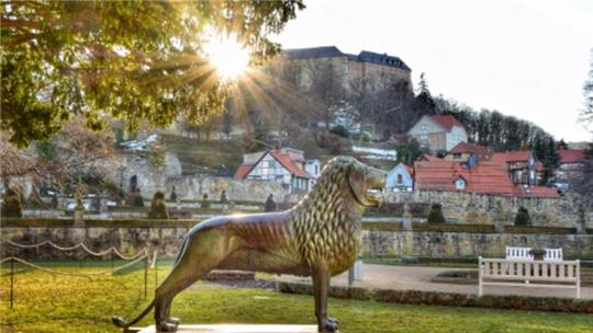 Auf Schloss Blankenburg treffen sich Fachleute der unterschiedlichsten Bereiche, um über die Zukunft des Waldes zu sprechen.