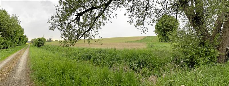 Zwei weitere Freiflächenanlagen für die Gemeinde Auf dem Areal rechts vom Feldweg, am Südhang des Großen Saubergs, soll von den Dörfern nicht einsehbar eine weitere Freiflächenanlage entstehen.