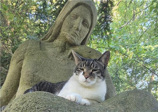 Auf dem Bad Harzburger Friedhof fühlt sich Lucky richtig wohl.