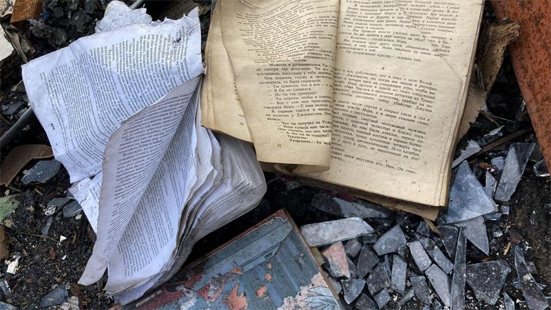 Auf dem Bücherbasar Petriwka sind viele Tausend Bücher verbrannt. (Archivbild)