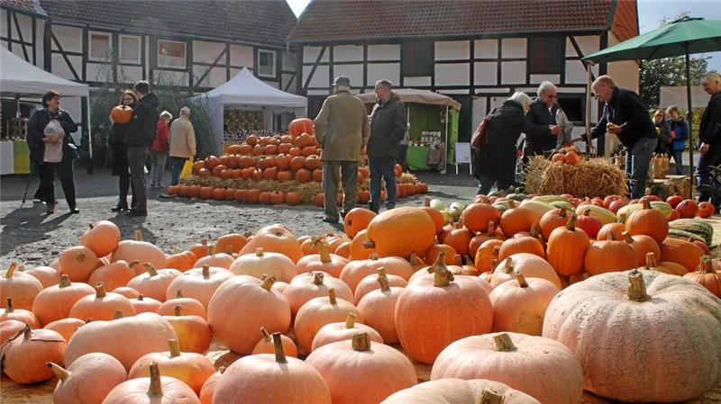 Diese Bad Harzburger Feste warten am Wochenende auf Besucher Auf dem Buritz-Hof dreht sich am Wochenende alles um den Kürbis - und diesmal auch wieder um die Artischocke.