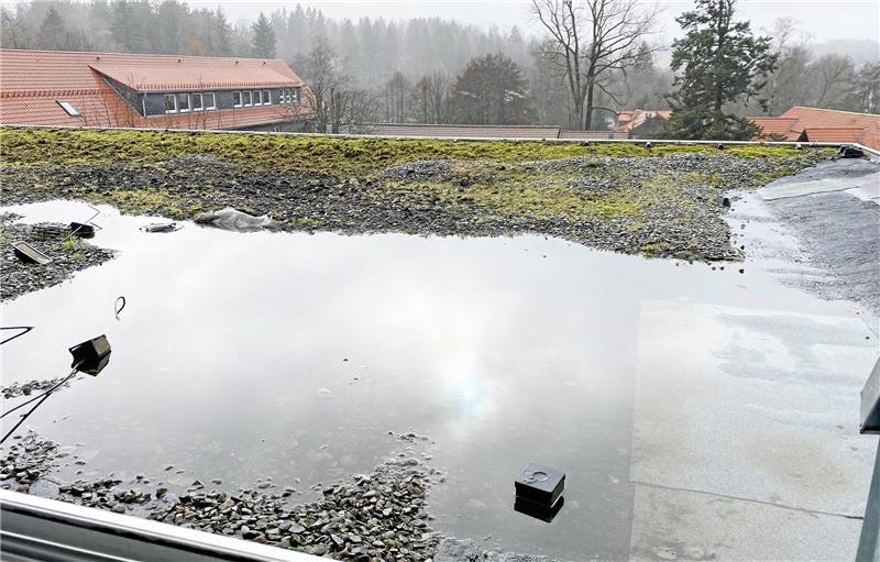 Schulzentrum Braunlage: Dach soll repariert werden Auf dem Flachdach des Schulzentrums Braunlage sammelt sich das Regenwasser und drückt an einigen Stelle durch die Decke. Foto: Privat
