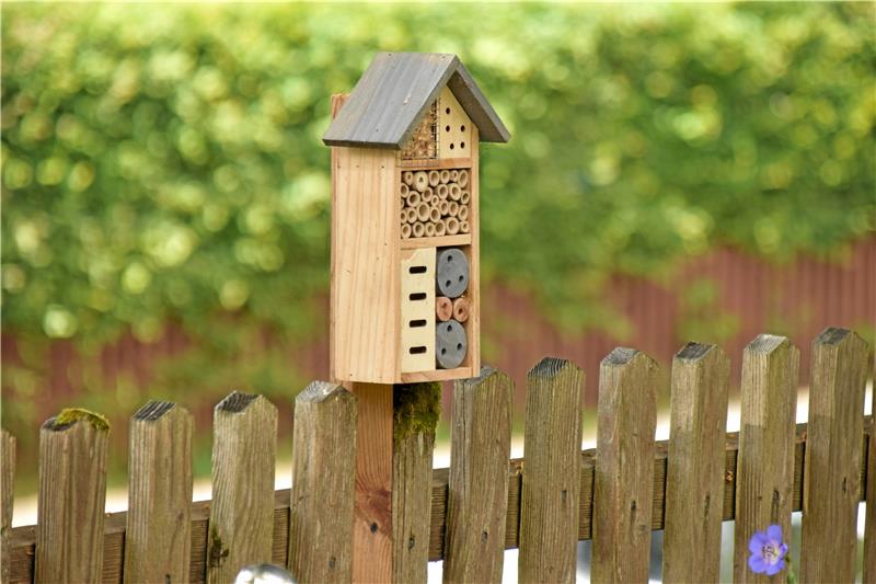 Auf dem Friedhof Zellerfeld gibt es schon zwei dieser Insektenhotels. Nun wird noch mehr für die Natur- und Tierwelt getan. Foto: Neumann