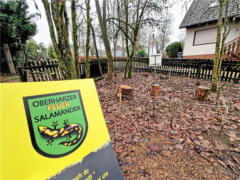 Oberharzer Feuersalamander: Pfadfindergruppe gründet sich Auf dem Gelände befindet sich zudem ein abgetrennter Werkstatt-Bereich, wo künftig geschnitzt werden soll.