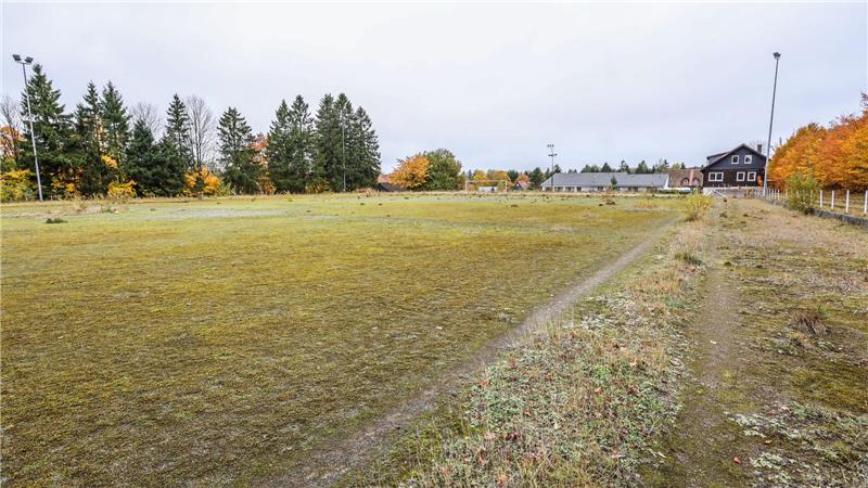 Auf dem verlassenen August-Tiemann-Sportplatz wuchern die Pflanzen.
