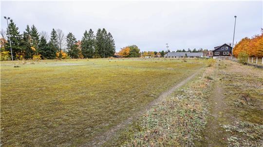 Auf dem verlassenen August-Tiemann-Sportplatz wuchern die Pflanzen.