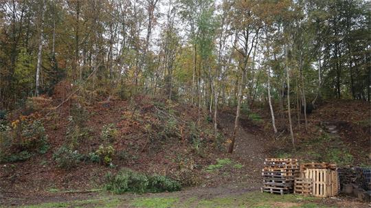 Waldhang mit Laubbäumen und mehreren Holzpaletten am Boden