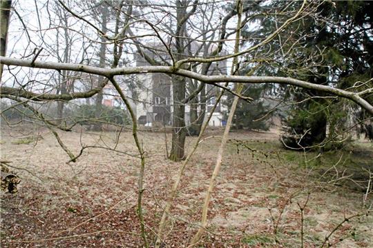 Auf dem Grundstück der Pension „Cecilie“, die im Hintergrund zu sehen ist, soll eine Appartmentanlage entstehen. Foto: Roß