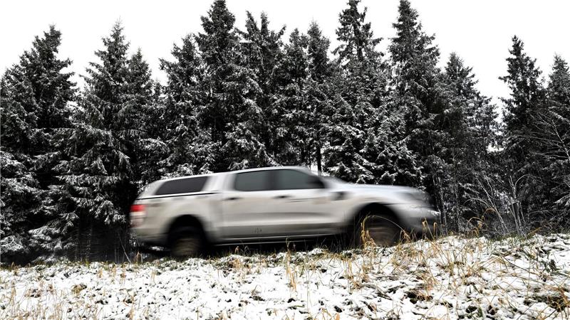 Auf dem Kahlen Asten im Sauerland wurden die ersten Tannen mit Schnee bedeckt. 