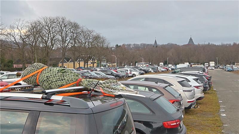 Parkplatz mit mehreren geparkten Autos, eines mit einem auf dem Dach befestigten, eingepackten Weihnachtsbaum.
