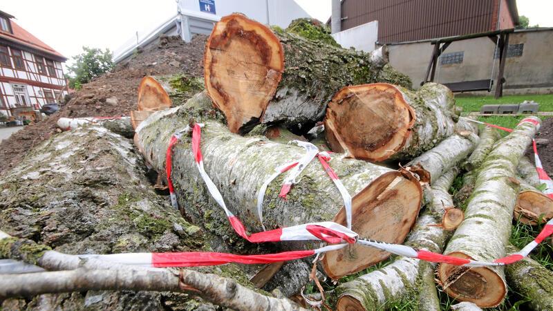 Auf dem Platz vorm Dorfgemeinschaftshaus liegen noch die Reste der Birke, die gefällt werden musste.