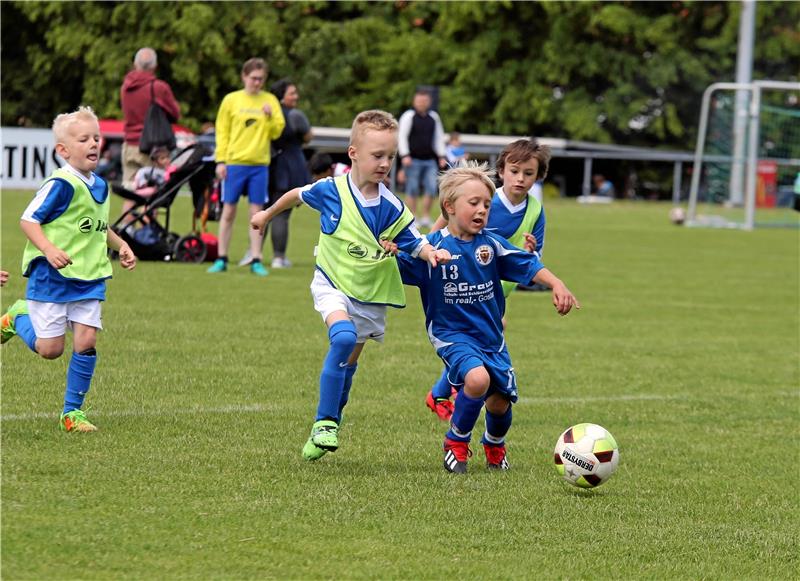SV Rammelsberg richtet wieder sein Pfingstturnier aus Auf dem Trebnitzer Platz rollt am Samstag der Ball, wenn der SV Rammelsberg nach zwei Jahren Pause wieder sein Pfingstturnier ausrichtet. Foto: Neuendorf