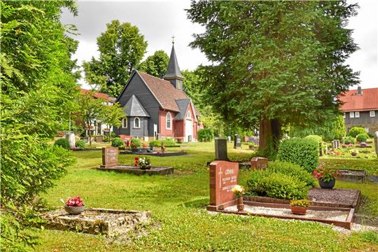Auf dem Zellerfelder Friedhof soll es bald insektenfreundlich zugehen. Für das Pflanzen von Wildsträucherhecken und Wildobstbäumen werden noch Freiwillige gesucht. Foto: Neumann