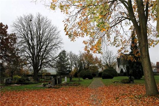Auf dem gemeindlichen Friedhof in Ostharingen sollen künftig auch sogenannte „Baumbestattungen" möglich sein.