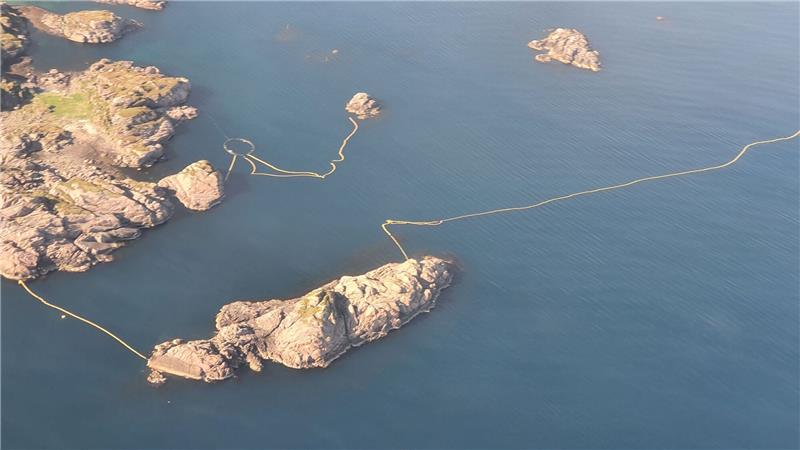 Wal in Forschungsanlage ums Leben gekommen Auf den Lofoten im hohen Norden Norwegens ist ein Zwergwal ums Leben gekommen.