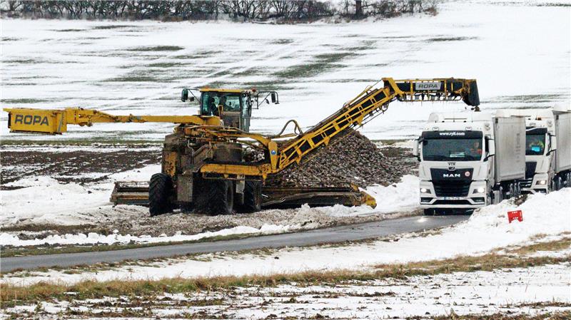 Rübenverladung im Schnee.
