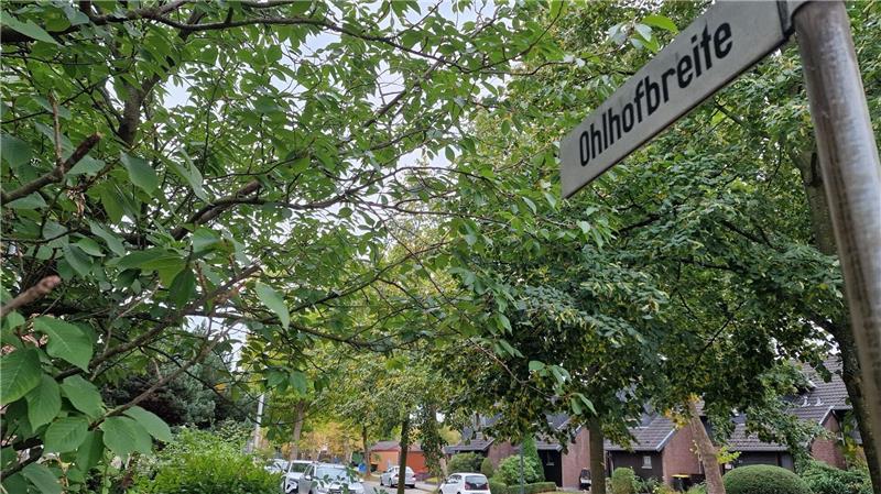 Straßenschild mit der Aufschrift 'Ohlhofbreite' an einem Baum in einer von Bäumen gesäumten Wohnstraße mit geparkten Autos und Häusern im Hintergrund.