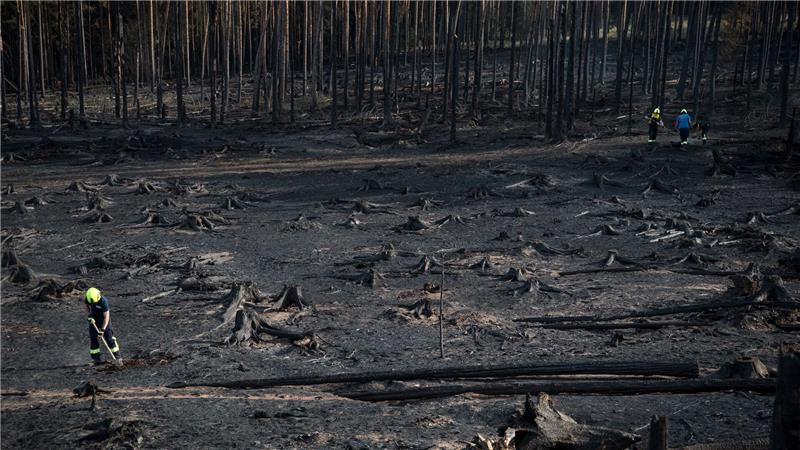 Waldbrände im Osten: Brandgeruch bis nach Berlin Auf der Saalfelder Höhe in Thüringen konnten die Einsatzkräfte über Nacht eine Ausbreitung verhindern.