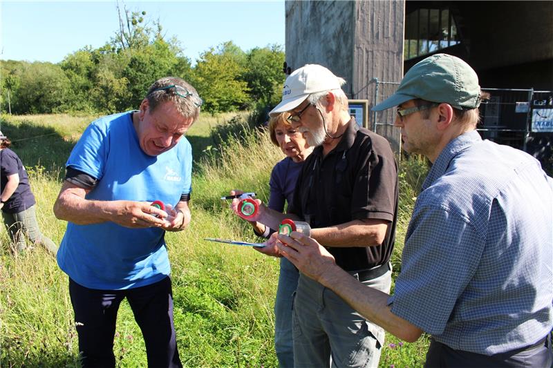 Naturschützer entdecken seltene Insektenarten Auf der Streuobstwiese: Kurz nach Beginn zeigen Malte Sandweg (v.li.), Evelin Bärecke und Peter Schmidt (rechts) dem Insektenexperten Gerwin Bärecke ihre entdeckten Tiere. Foto: Wendt