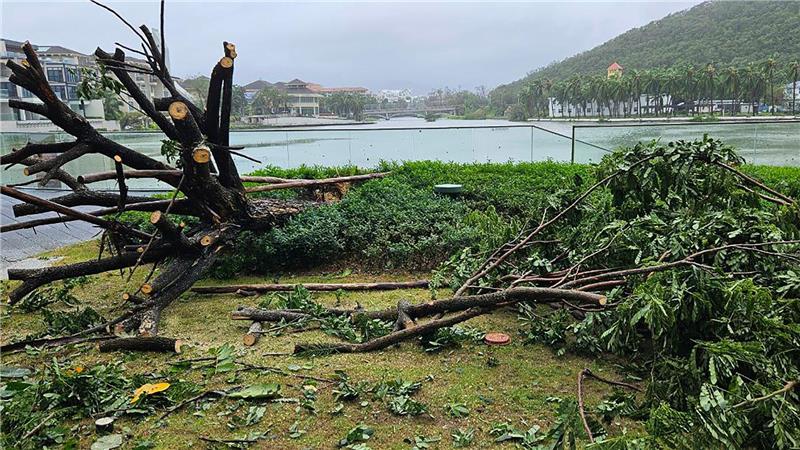 Auf der chinesischen Insel Hainan hat „Kajiki“ schon gewütet. 