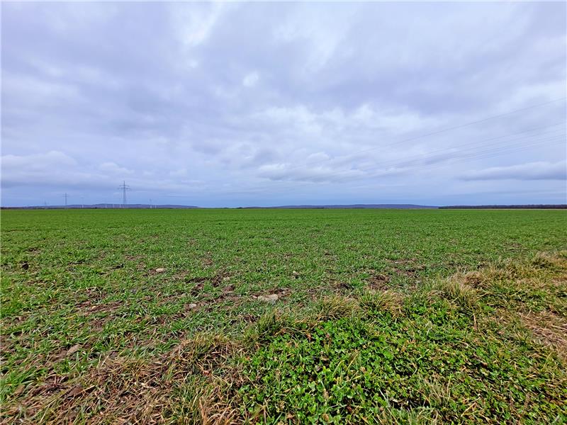 Kommentar: Im Schweinsgalopp in die Nebelwand Auf diese riesigen Freiflächen sollen Photovoltaikanlagen und Windräder gebaut werden.