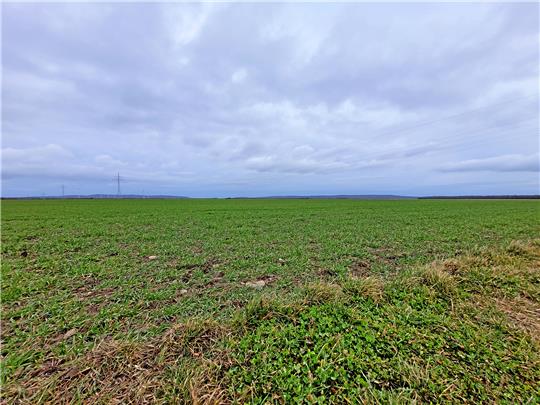 Auf diese riesigen Freiflächen sollen Photovoltaikanlagen und Windräder gebaut werden.