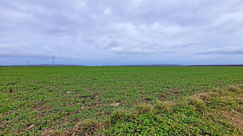 Kommentar: Im Schweinsgalopp in die Nebelwand Auf diese riesigen Freiflächen sollen Photovoltaikanlagen und Windräder gebaut werden.