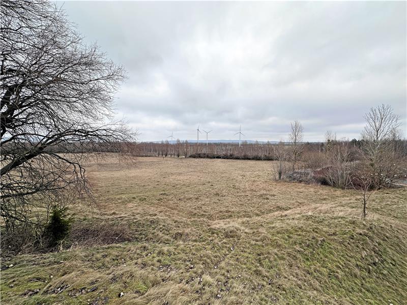 Auf dieser Fläche soll der Berg aufgeschüttet werden. Zur Orientierung: Links (nicht im Bild) das Hüttengelände. Am Rand des Waldes im Hintergrund verläuft der Feldweg, der die Verlängerung der Kaltenfelder Straße ist. Foto: Schlegel