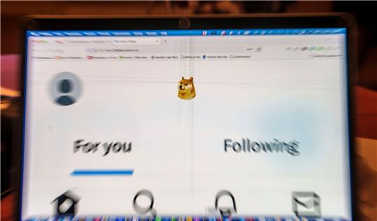 Auf einem Laptop-Display ist die Startseite von Twitter zu sehen, die anstelle des Twitter-Logos das Symbol der Digitalwährung Dogecoin zeigt.