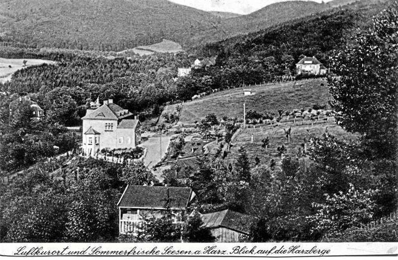 Auf einem Motiv von 1927 aus dem Archiv des Seesener Stadtmuseums ist die Villa mit der Quadriga auf dem Dach gut zu sehen. Heute ist das Gebäude zugewachsen.