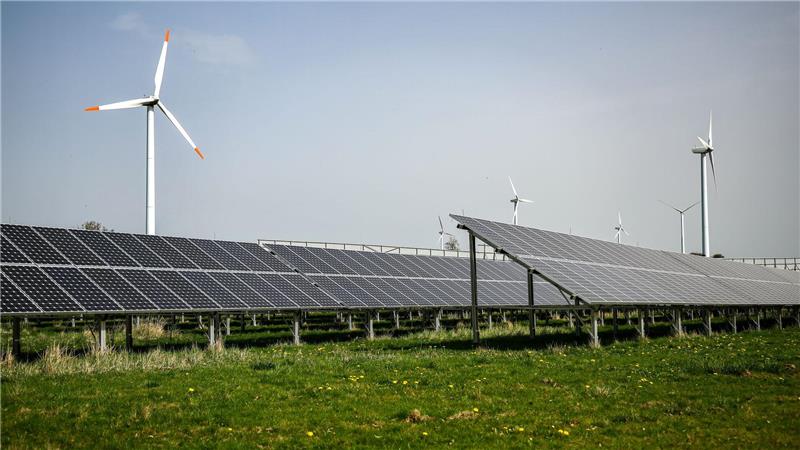 Mehrere Reihen von Solarpaneelen auf einer Wiese mit Windrädern im Hintergrund unter klarem Himmel