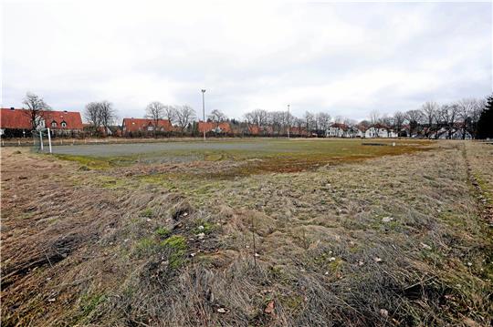 Auf rund 15.000 Quadratmetern könnte das Wohnquartier entstehen. Foto: Neuendorf