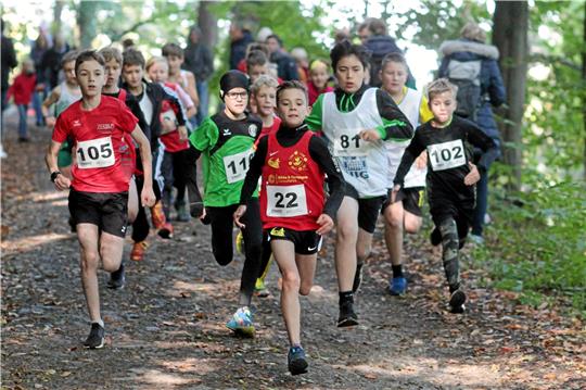 Nordharzer Leichtathleten holen viele Titel Auf zur Titeljagd: In den Schüler- und Jugendklassen kommen bei den Bezirksmeisterschaften in Bad Harzburg größere Teilnehmerfelder zusammen. Foto: Gietemann