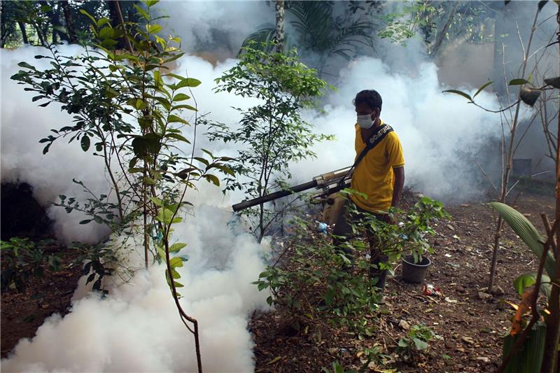 Mehr als Tausend Tote wegen Dengue-Fieber in Bangladesch Aufgrund der vielen Dengue-Fieber-Fälle werden in den Straßen von Bangladesch Mittel versprüht, um die Aedes-Stechmücken zu töten.