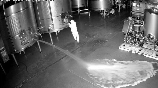 Aufnahme einer Sicherheitskamera: Im Lagerraum des Weinguts Cepa 21 Wein wird Wein verschüttet.