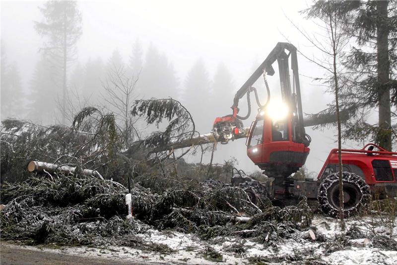 Aufräumarbeiten im Oberharz bei Clausthal-Zellerfeld: In den kommenden Monaten wird noch eine Menge Mehrarbeit auf die Forstwirte im Oberharz zukommen.  Foto: Neuendorf