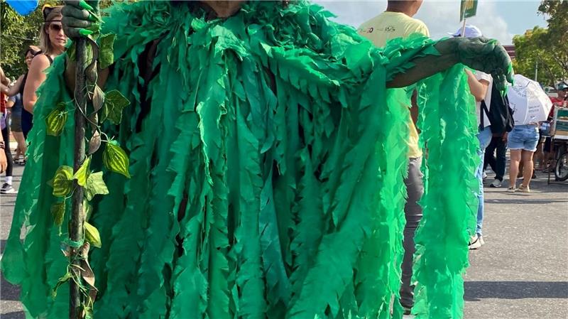 Klimagipfel in Brasilien: Tausende gehen auf die Straße Aufwendig verkleidet zogen viele Klimaschützer durchs Zentrum der Millionenstadt Belém.