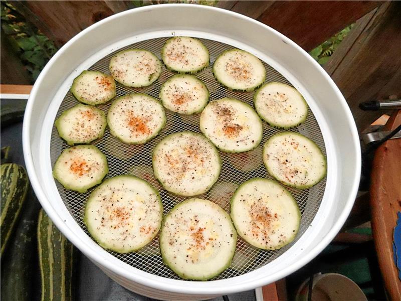 Spätsommer bringt endlich die ersehnte Wärme August: Chips aus getrockneten Zucchini-Scheiben sind eine gesunde Leckerei.
