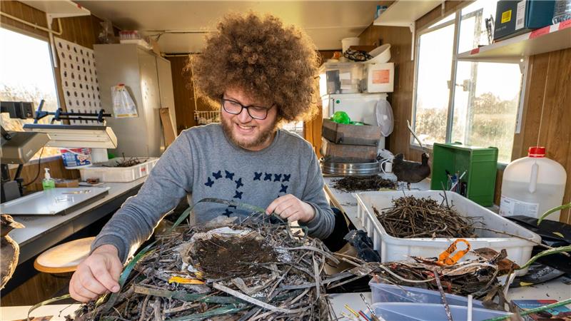 Verpackungen von 1994 - Blässhühner recyceln Plastik Auke-Florian Hiemstra untersucht Vogelnester wissenschaftlich und macht dabei erstaunliche Entdeckungen.
