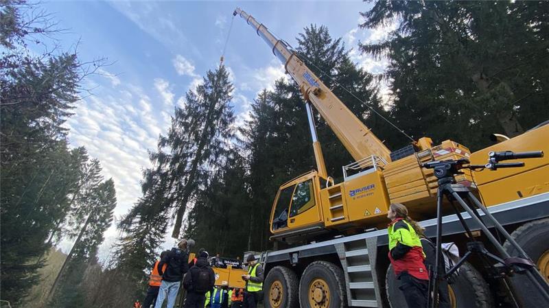 Weihnachtsbaum für den Berliner Reichstag kommt aus dem Harz Aus dem Varleytal bei der Granetalsperre kommt der diesjährige Baum, der vor dem Bundestag aufgebaut wird.