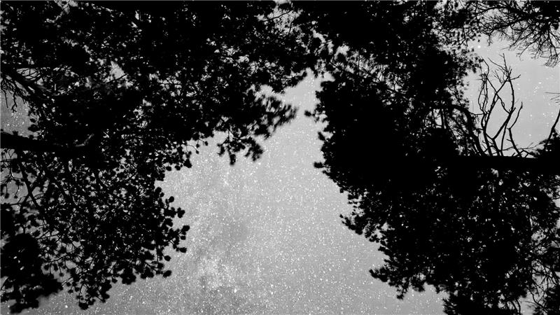 Aus der "Kontraste"-Reihe: Eine Langzeitberlichtung des Sternenhimmels.