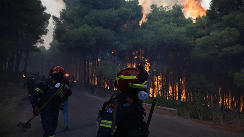 Aus der Luft gibt es wegen stürmischer Winde keine Hilfe - die Feuerwehrleute sind am Boden auf sich gestellt.