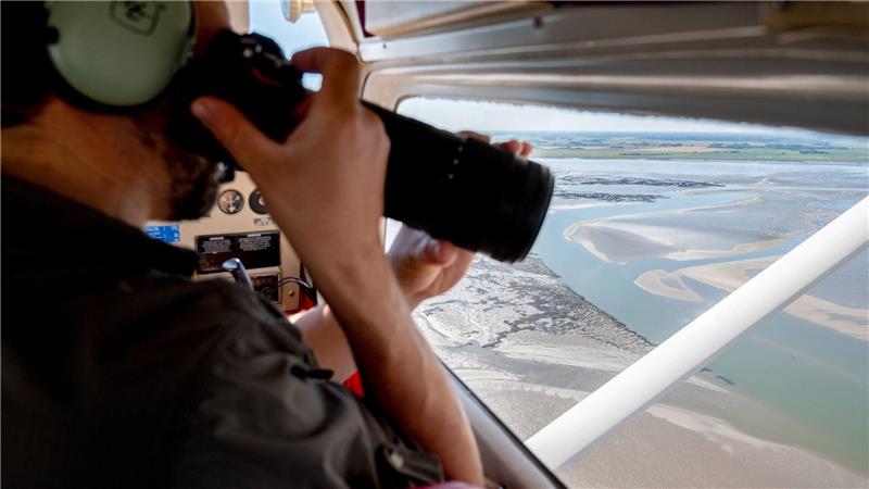 Mehr junge Seehunde im niedersächsischen Wattenmeer Aus der Luft zählen und fotografieren die Experten Alt- und Jungtiere, die sich bei Ebbe ausruhen. (Archivfoto)