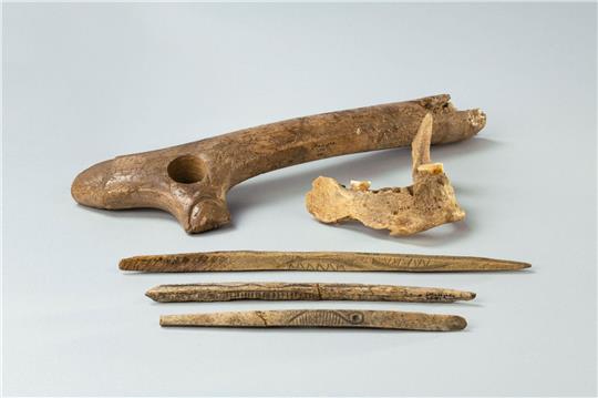 Aus der Maszycka-Höhle in Südpolen: Ein Stück eines menschlichen Kiefers sowie Knochen
und Geweihartefakte aus der Magdalenien-Kultur, die vor 19.000 bis 14.000 Jahren in großen Teilen Europas verbreitet war.