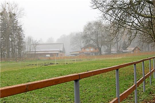 Aus der Pferdekoppel neben dem Café Jungborn möchte Betreiber Rüdiger Hasenbalg bis zu 20 Stellplätze für Wohnmobilisten machen. Die schwarzen Linien (Karte links) stellen die Grenzen des Bebauungsplans dar, rot schraffiert sind die Bereiche, um die dessen Geltungsbereich erweitert werden soll.  Foto: Fricke; Grafik: OpenStreetMap/Exner
