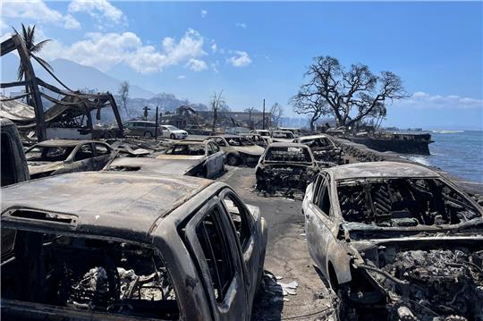Ausgebrannte Autos stehen nach einem Waldbrand in Lahaina, Hawaii.