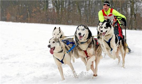 Ausreichend Schnee, das ist die Grundlage für den Wettkampf am ersten Februar-Wochenende. Foto: Süss